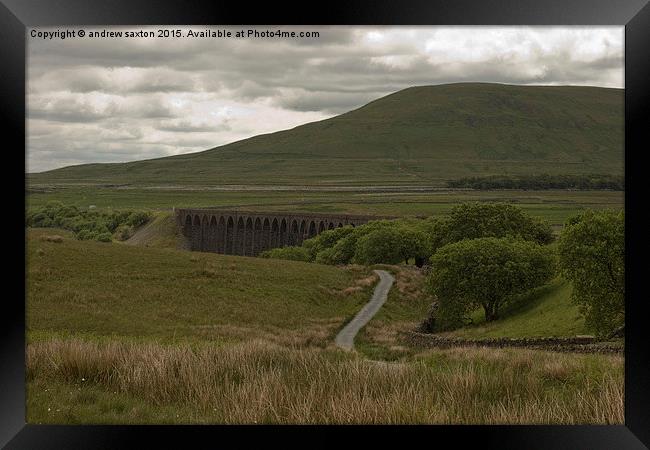  RIBBLEHEAD COUNTRYSIDE Framed Print by andrew saxton