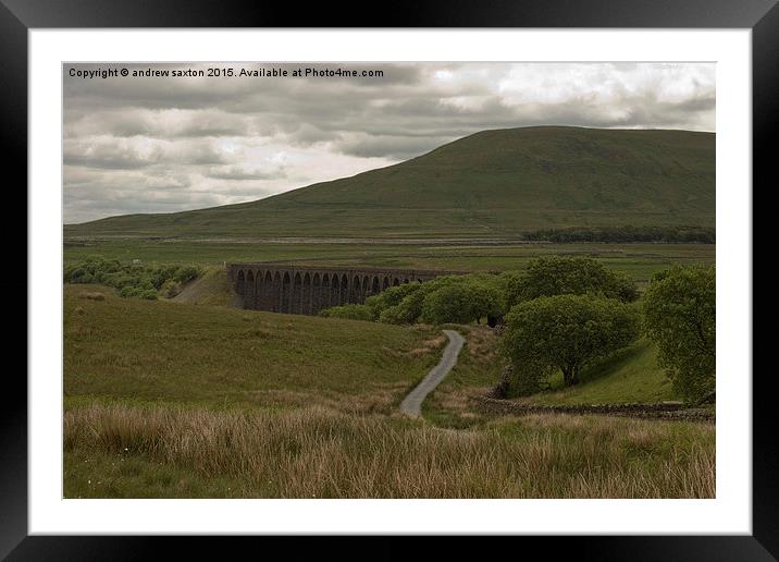  RIBBLEHEAD COUNTRYSIDE Framed Mounted Print by andrew saxton