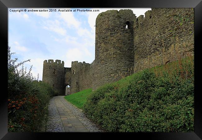  LETS GO TO THE CASTLE Framed Print by andrew saxton