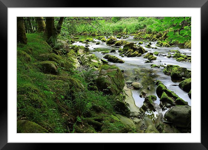  SMALL STREAM Framed Mounted Print by andrew saxton