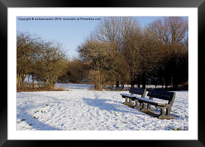  WHITE PARK Framed Mounted Print by andrew saxton