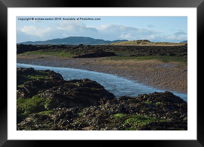  LOOKING IN LAND Framed Mounted Print by andrew saxton