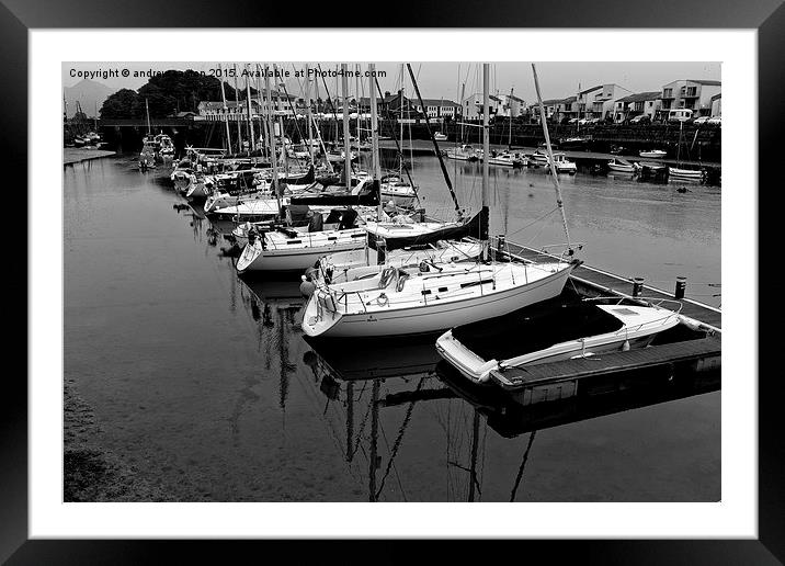  SITTING TOGETHER Framed Mounted Print by andrew saxton