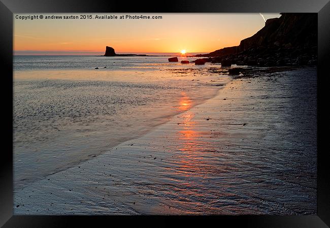  YORKSHIRE SUNSHINE Framed Print by andrew saxton