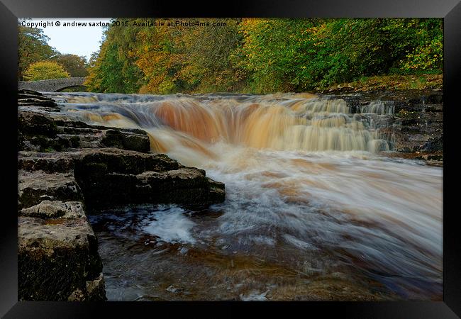  SOME WATER Framed Print by andrew saxton