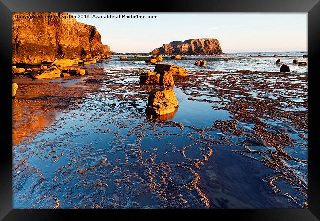  ROCKY SHORE Framed Print by andrew saxton