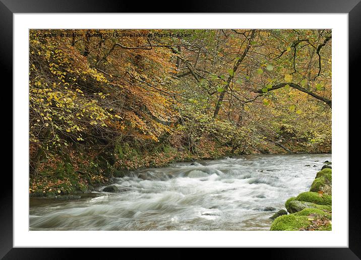 FLOWING WELL Framed Mounted Print by andrew saxton