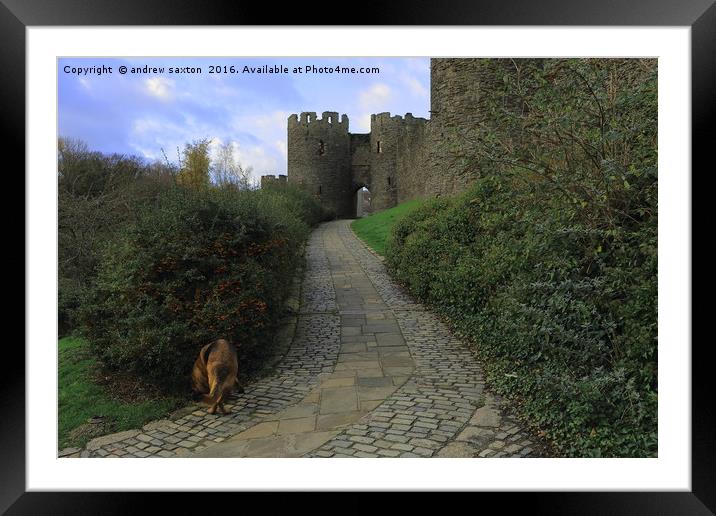 CASTLE ENTRANCE Framed Mounted Print by andrew saxton