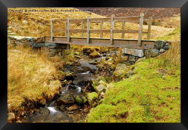 STREAM CROSSING Framed Print by andrew saxton