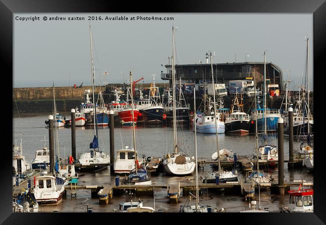 BRIDLINGTON HARBOUR  Framed Print by andrew saxton