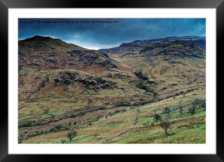 GREEN AND BROWN Framed Mounted Print by andrew saxton