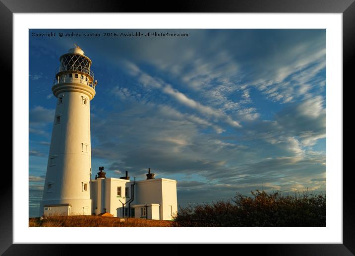 SHINING BRIGHT Framed Mounted Print by andrew saxton