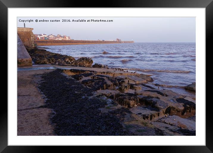 HARBOUR WALL Framed Mounted Print by andrew saxton