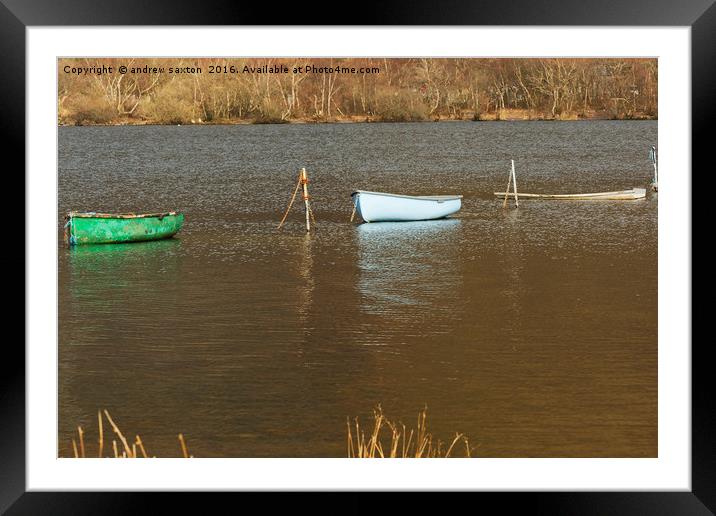 A PAIR Framed Mounted Print by andrew saxton