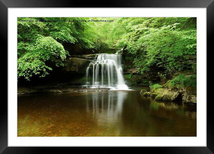 WATERFALL TREES Framed Mounted Print by andrew saxton