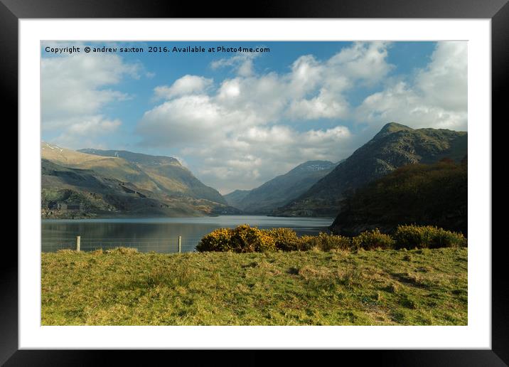 IN TO THE LAKE Framed Mounted Print by andrew saxton