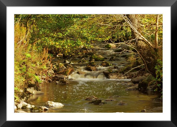 STREAMING DOWN Framed Mounted Print by andrew saxton
