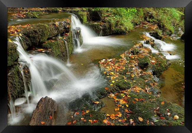 DEAD LEAVES Framed Print by andrew saxton