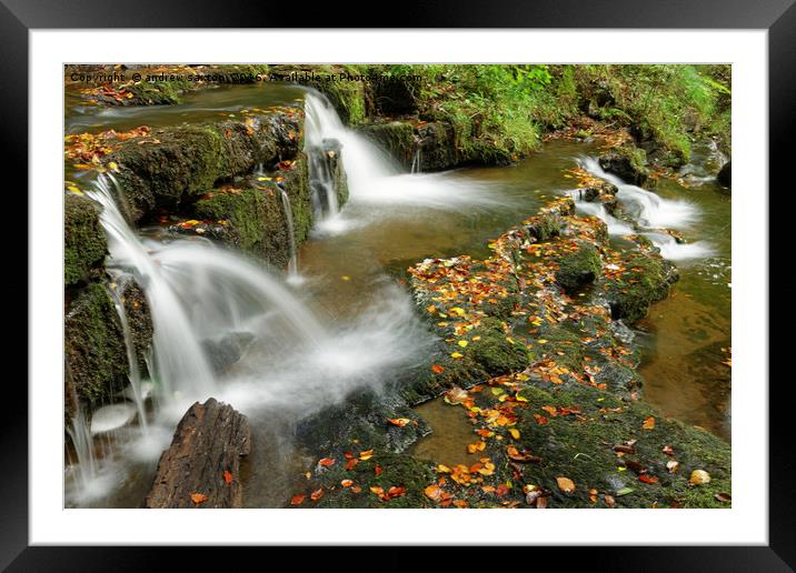 DEAD LEAVES Framed Mounted Print by andrew saxton