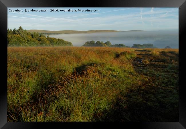 LOW MIST Framed Print by andrew saxton