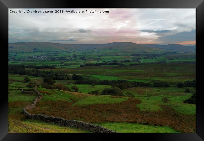 WENSLEYDALE COUNTRYSIDE Framed Print by andrew saxton