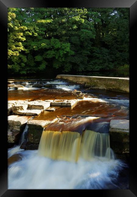 FALLING IN RICHMOND Framed Print by andrew saxton