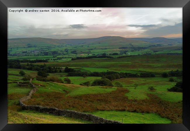 IT'S WENSLEYDALE Framed Print by andrew saxton