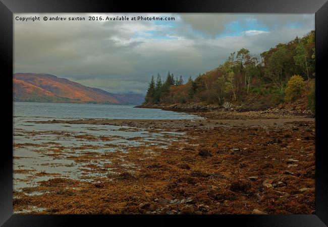 ALONG THE LOCH Framed Print by andrew saxton