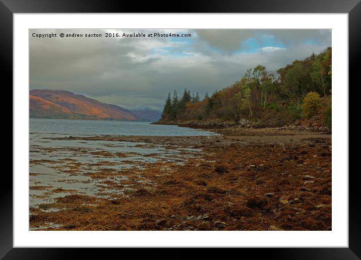 ALONG THE LOCH Framed Mounted Print by andrew saxton