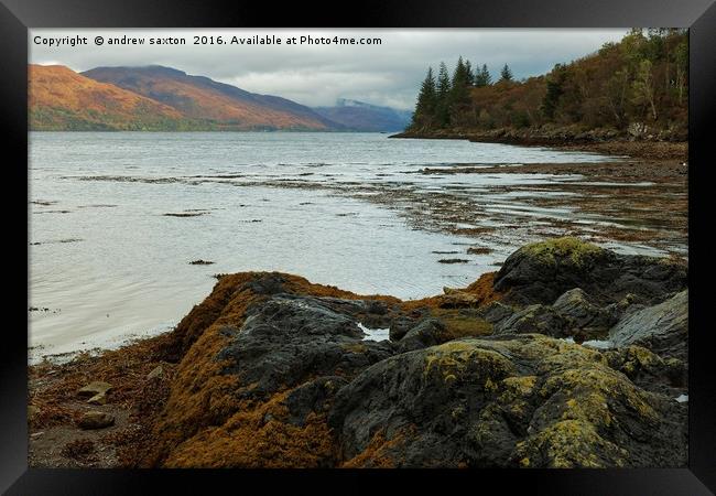 ACROSS LOCH LINNHE  Framed Print by andrew saxton
