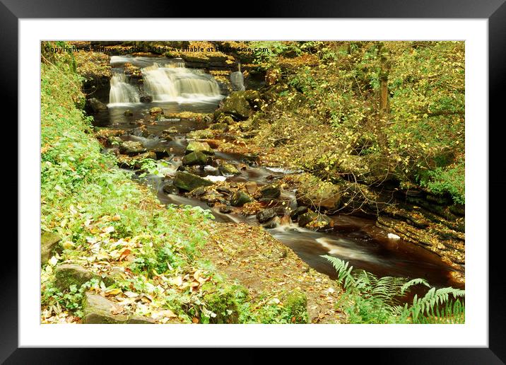 AUTUMN WATERFALLS Framed Mounted Print by andrew saxton