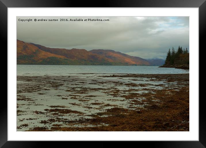 UP A LOCH Framed Mounted Print by andrew saxton
