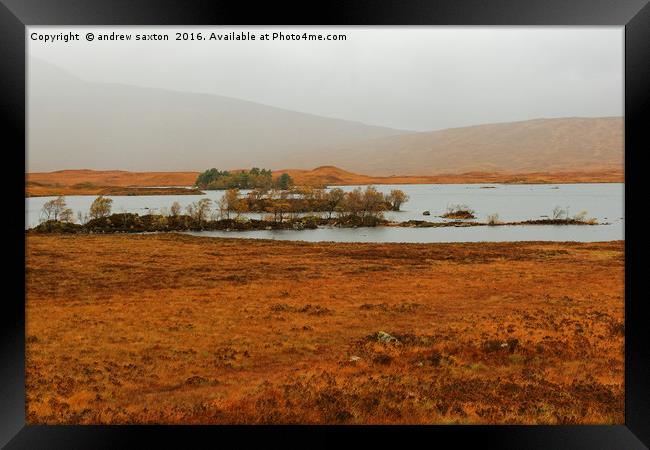 IT'S RAINING  Framed Print by andrew saxton