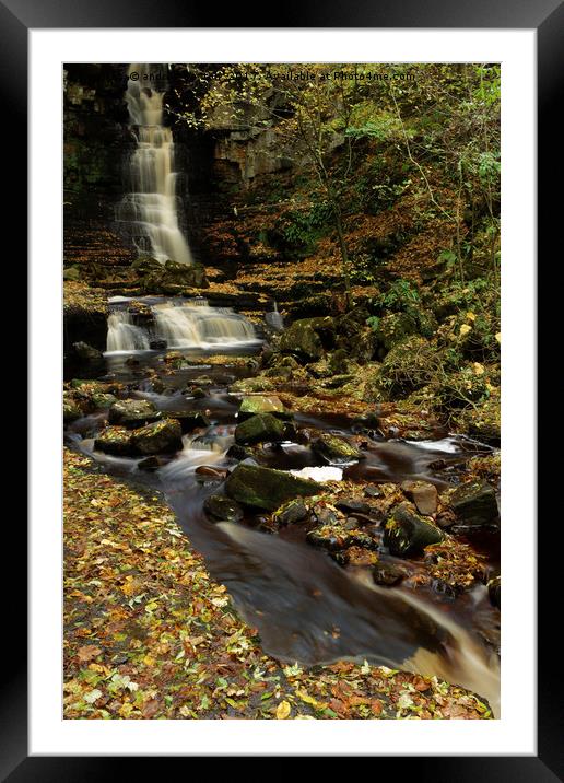 IN THE CORNER  Framed Mounted Print by andrew saxton