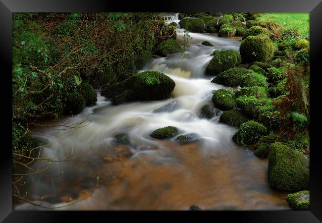 CONSTANT Framed Print by andrew saxton