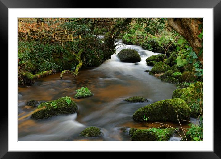 SMOOTHLY FOLLOWING Framed Mounted Print by andrew saxton
