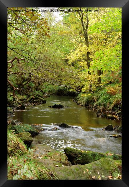 WOODLAND WATERS Framed Print by andrew saxton