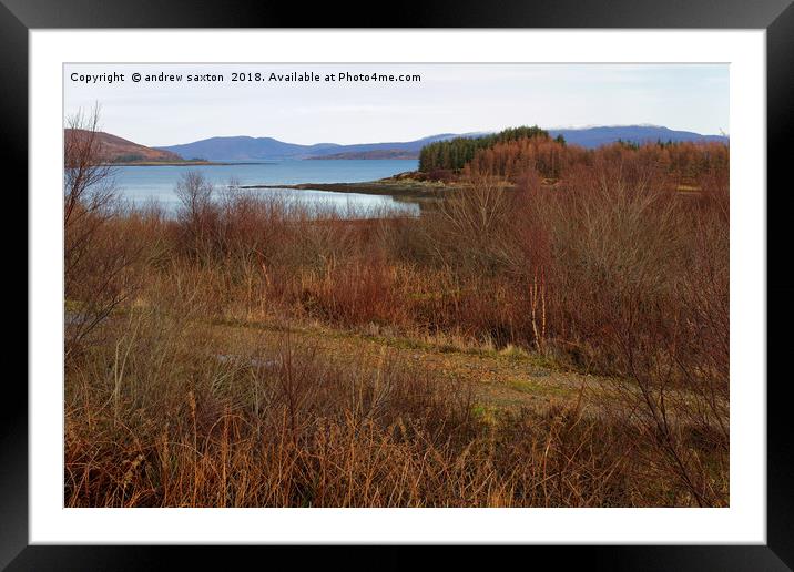 TREES LOCH AND MOUNTAINS  Framed Mounted Print by andrew saxton