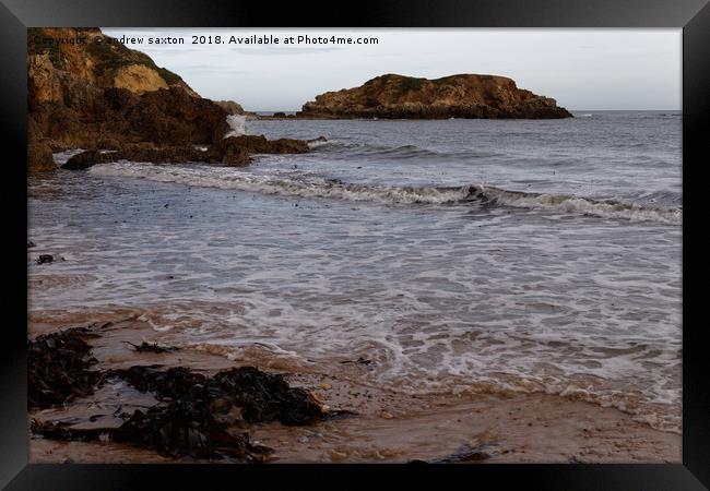 THE SEA ROCK Framed Print by andrew saxton