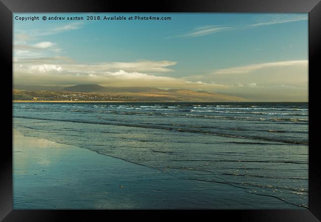 LOOKING FAIR Framed Print by andrew saxton