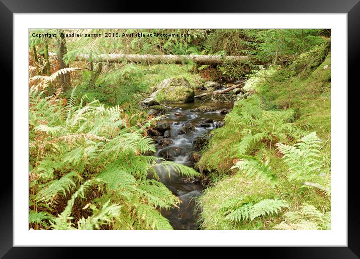 UNDER TREE Framed Mounted Print by andrew saxton