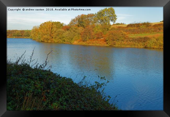 AUTUMN DAY Framed Print by andrew saxton