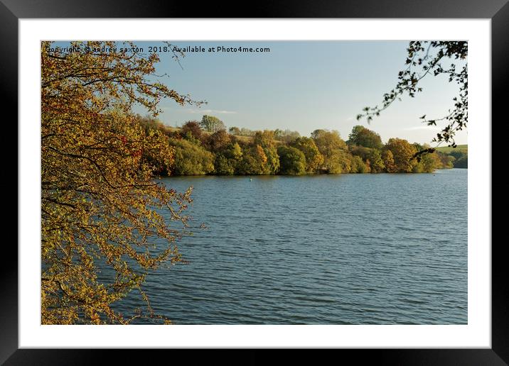 TREES TREES AND TREES Framed Mounted Print by andrew saxton