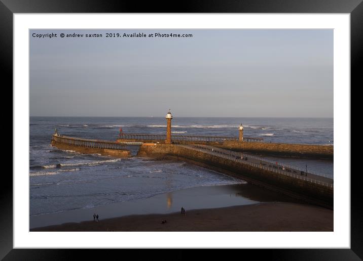 TWO OF Framed Mounted Print by andrew saxton