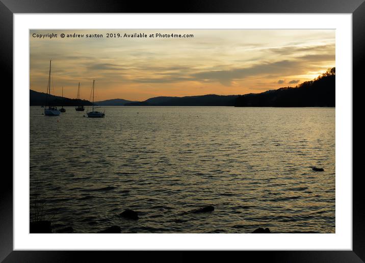 IN THE LAKE Framed Mounted Print by andrew saxton