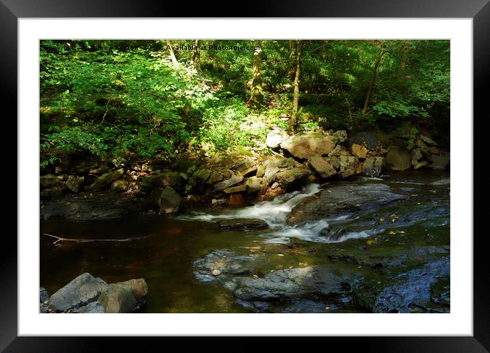 A RAY OF SUNSHINE Framed Mounted Print by andrew saxton