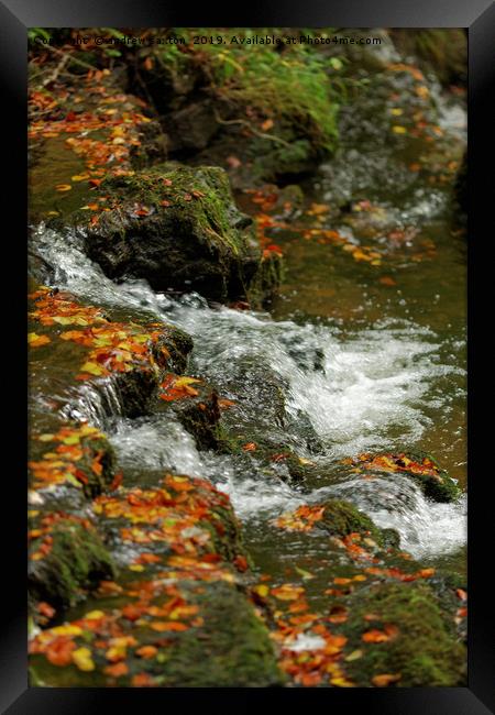 WATER IN AUTUMN Framed Print by andrew saxton