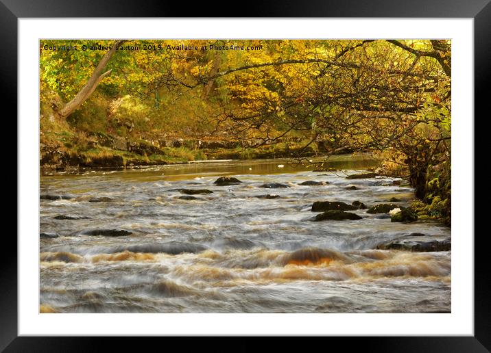 AUTUMN WATER, Framed Mounted Print by andrew saxton