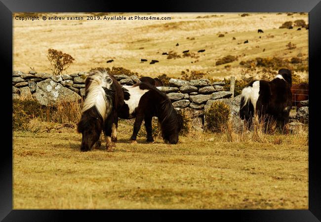 MEAL FOR TWO Framed Print by andrew saxton