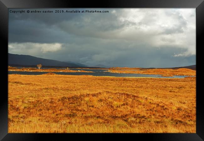 THE STORM Framed Print by andrew saxton